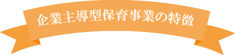 企業主導型保育事業の特徴